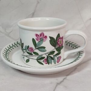 Vintage Portmeirion Botanic Garden Cup/Saucer